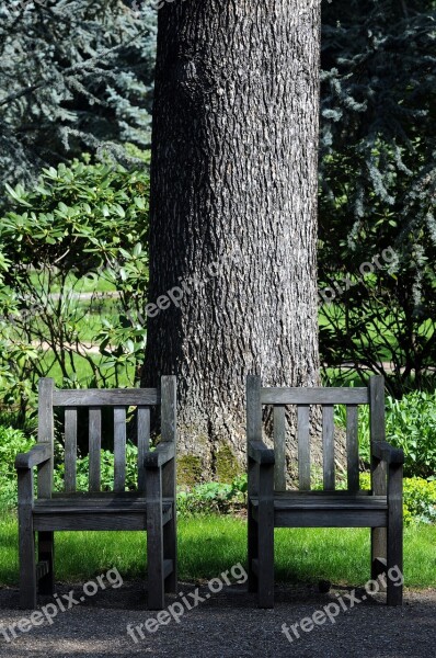 Albert Kahn Garden Japanese Garden Boulogne-billancourt Nature Bench