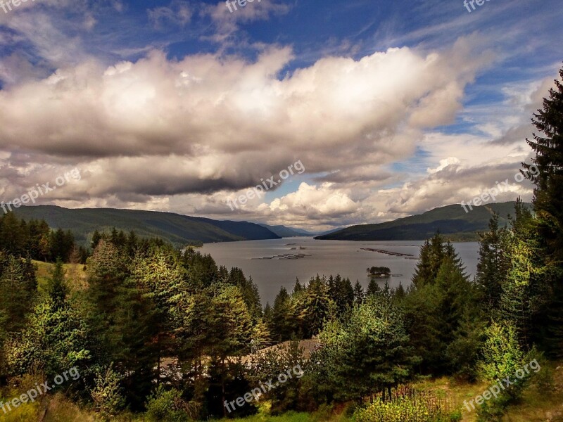 Lake Bulgaria Dospat Forest Tree