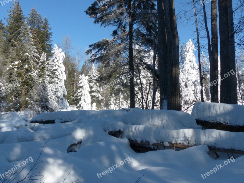 Canada Winter Landscape Mountains Forest