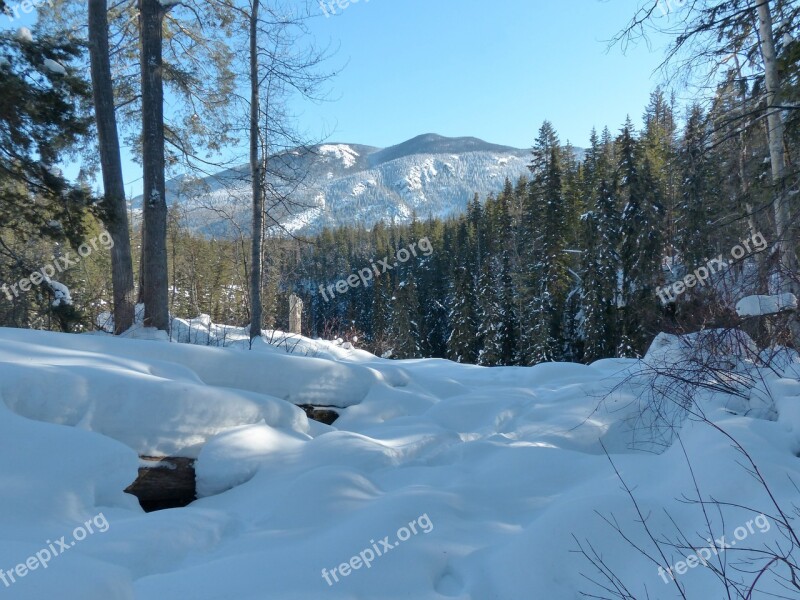 Canada Winter Landscape Mountains Forest