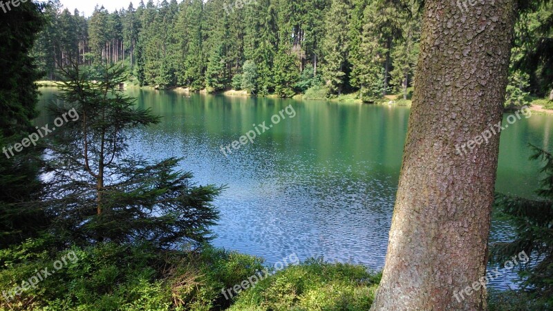 Summer Resin Lake Free Photos