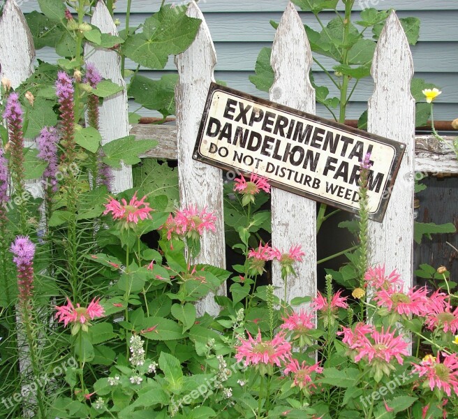 Garden Sign Fence Monarda Liatris