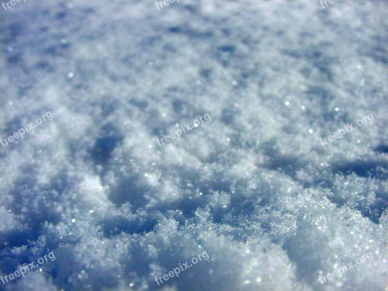 Snow Cold Snowflakes Frost Winter