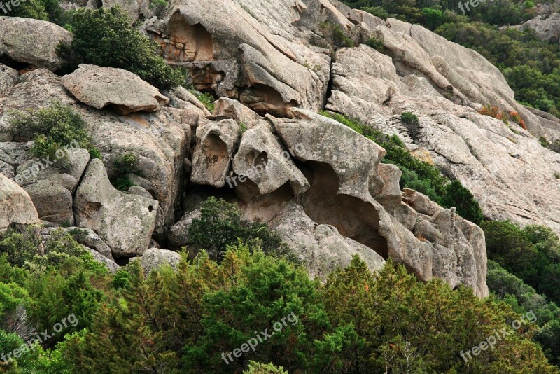 Rock Corsican Maquis Pierre Landscape