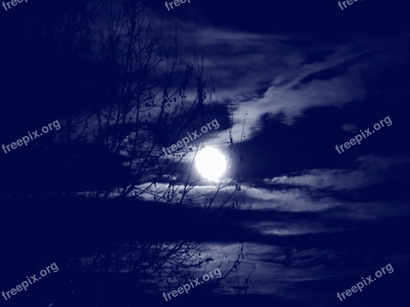 Full Moon Clouds Branches Tree Night