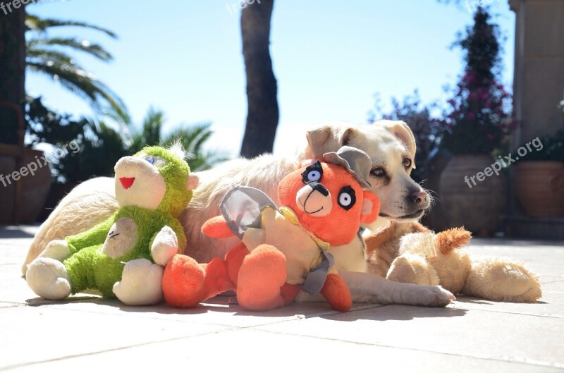 Dog Stuffed Animals Play Pet Garden