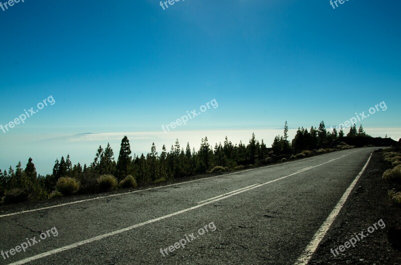 Highway Landscape Tenerife Beauty Nature