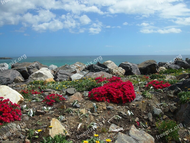 South Africa Cape Town Sea View Rock