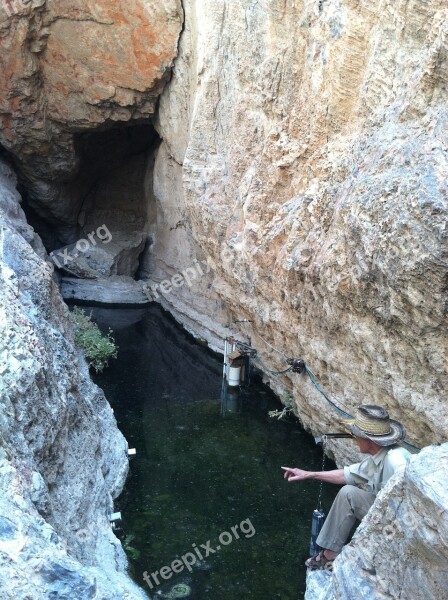 Devil's Hole Water Seldom Endangered Fish Devil's Hole Pupfish