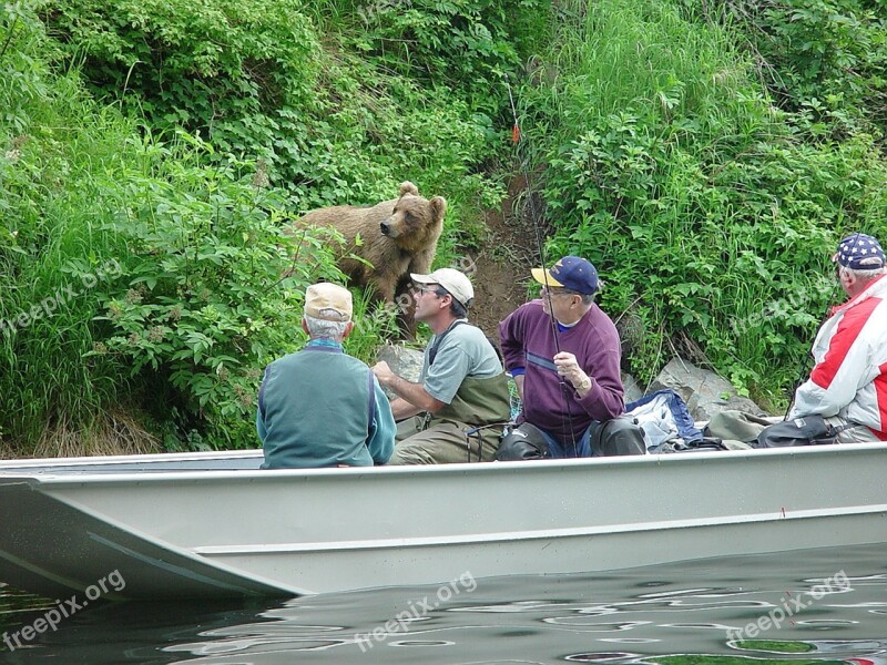 Alaska Fishing Bear Unaware Water