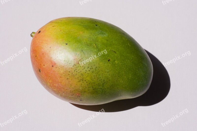 Mango Fruit Tropical Green Free Photos