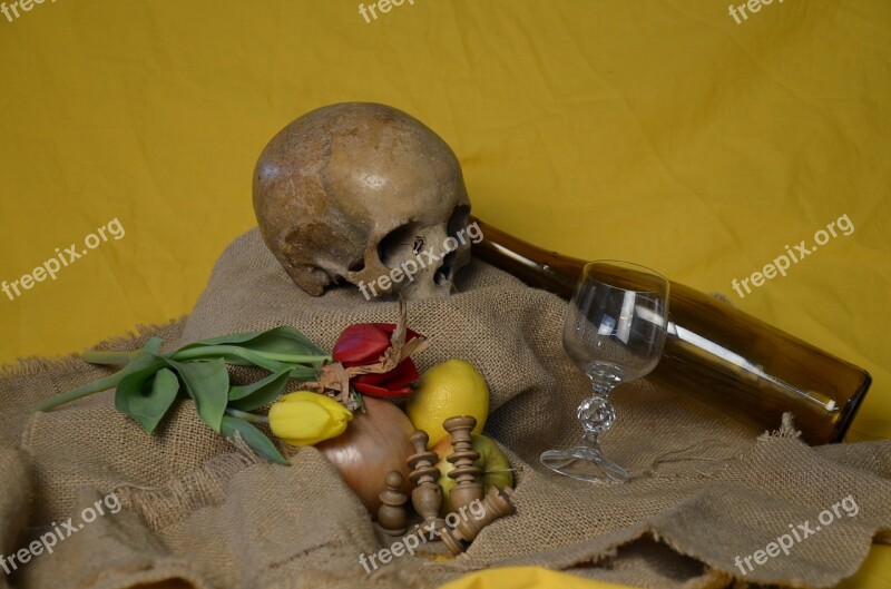 Skull Flowers Bottle Glass Still Life