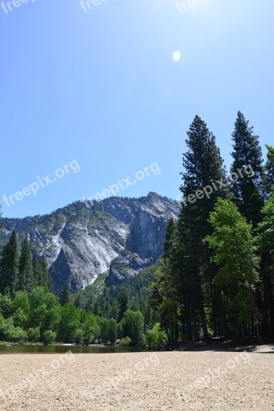 Yosemite California Forest Sun Trees