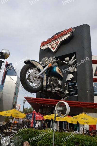 Harley Davidson Restaurant Motorcycle House Two Wheeled Vehicle