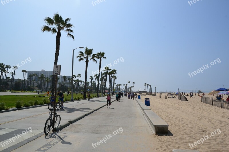 California Promenade Stand Sun Palm Trees