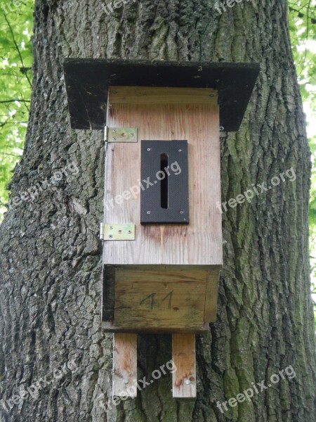 Nesting Box Aviary Bird Feeder Tree Nesting Place