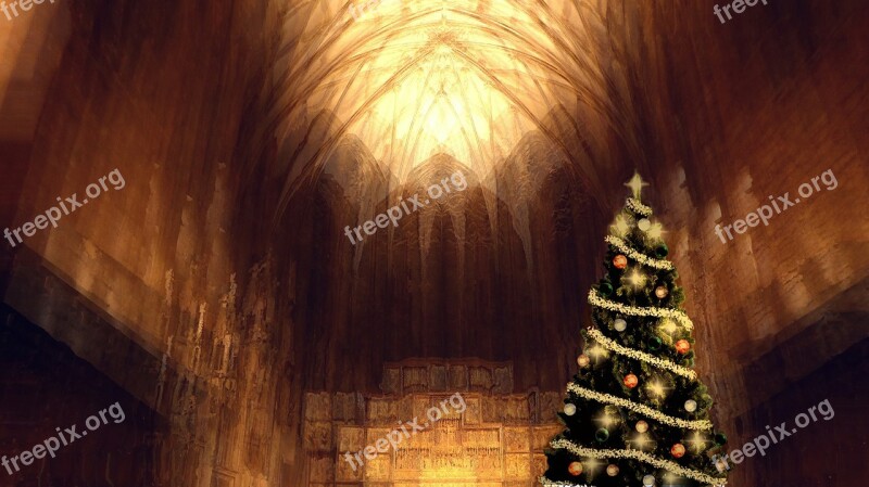 Church Christmas Atmosphere Aisle Fir Tree