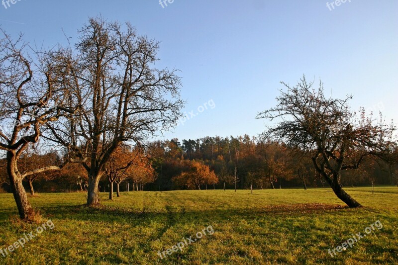 Orchard Autumn Nature Landscape Germany