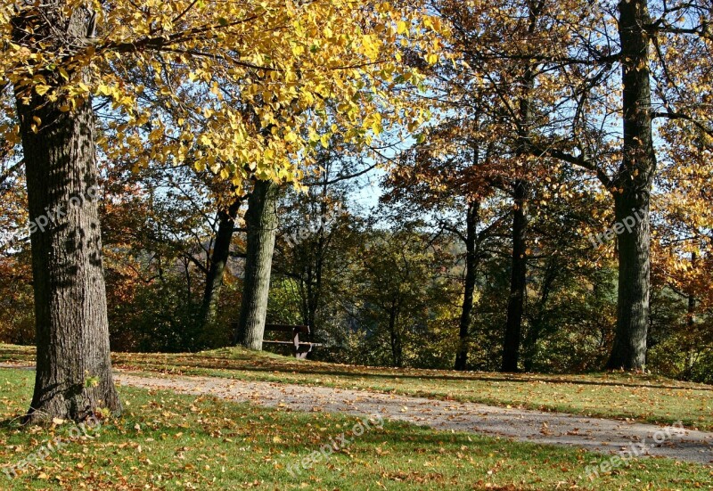 Park Away Autumn Forest Leaves