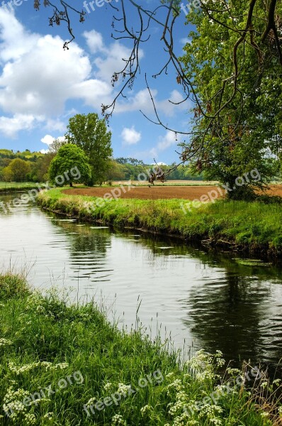 Nature Water Landscape River Forest