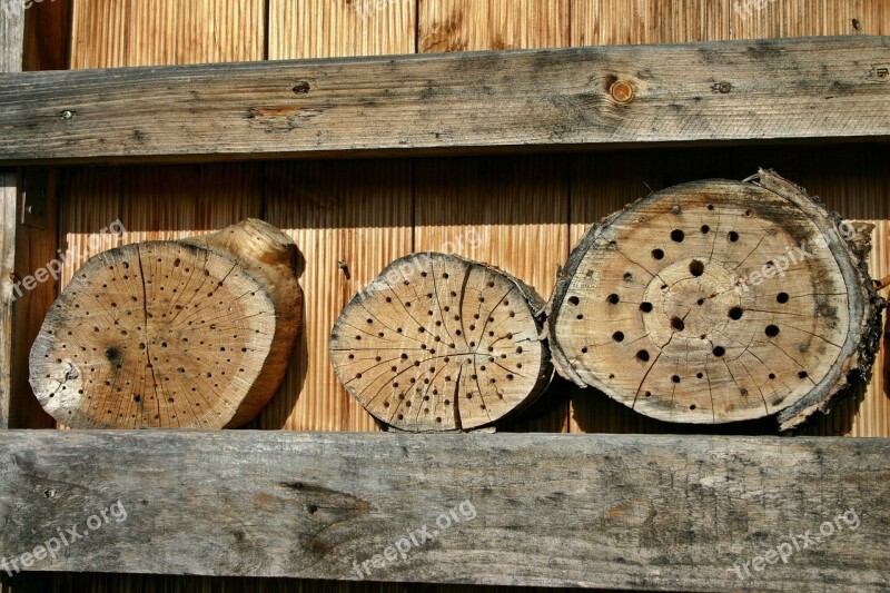 Insect Hotel Wild Bees Bees Bee Hotel Insect