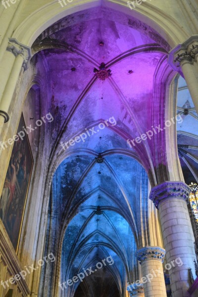 Church Building Vaults Architecture St Rombouts Cathedral