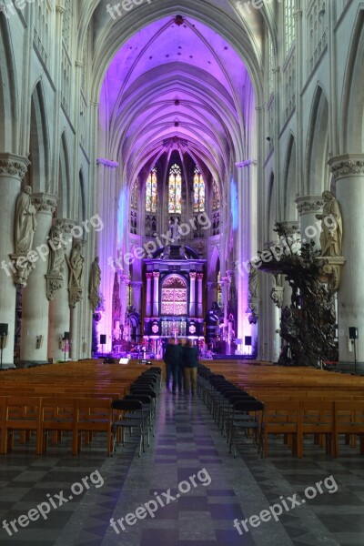 Church Building Vaults Architecture St Rombouts Cathedral