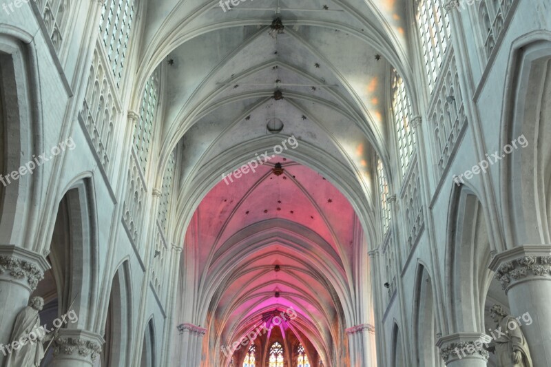 Church Building Vaults Architecture St Rombouts Cathedral