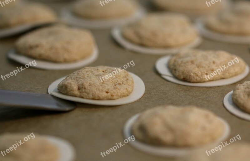 Christmas Cookies Bake Christmas Cookie Christmas Time