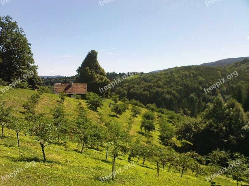 Meadow Hills Austria Styria Southern Styria