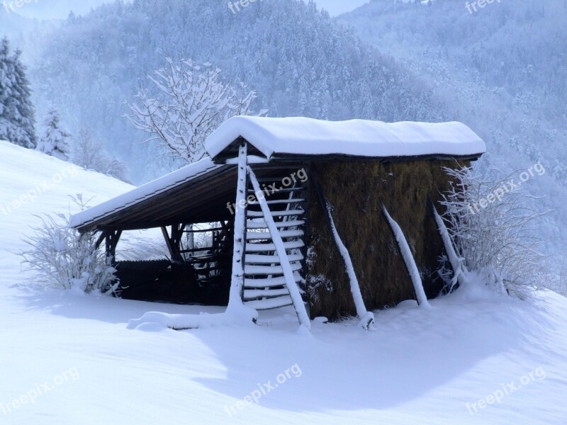 Winter White Hayrack Snow December