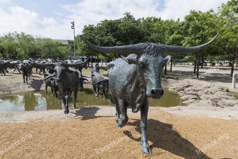 Cattle Bronze Statues Metal Longhorn