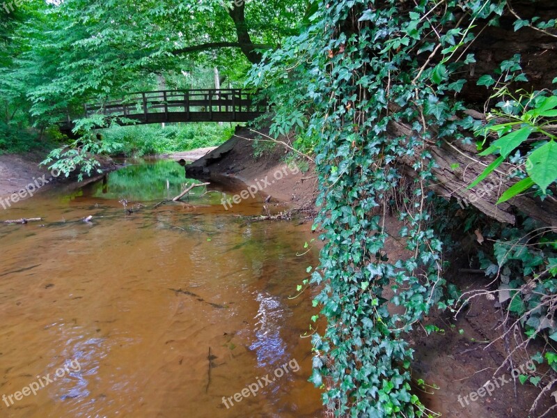 River Bridge Bach Lianas Ivy