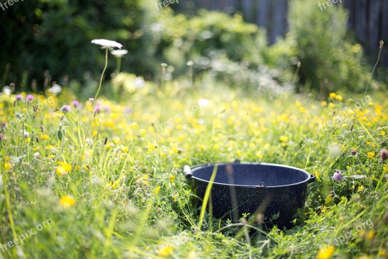 Washtub Kettle Nature Outdoors Antique