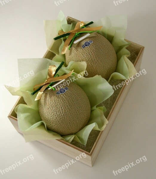 Melon Cantaloupe Gifts Midyear Gift