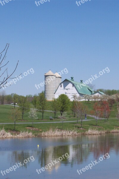 Farm Dairy Pond Reflection Country