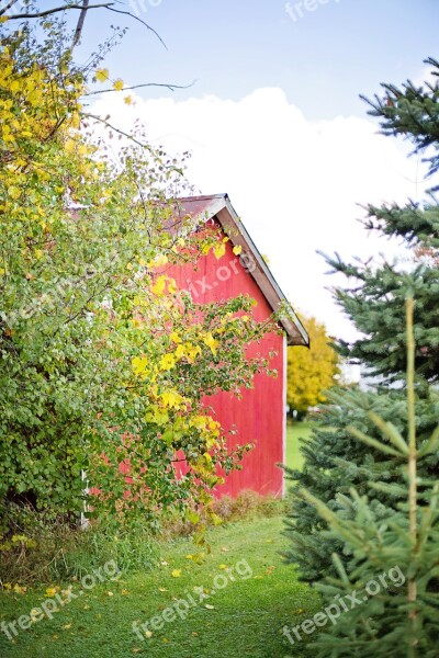 Barn Red Wood Red Barn Rustic