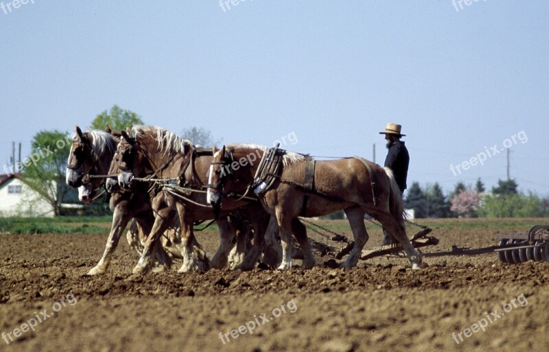 Farmer Horses Agriculture Farming Farm