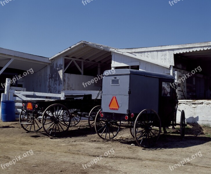 Buggies Horse Farm Rural Carriage