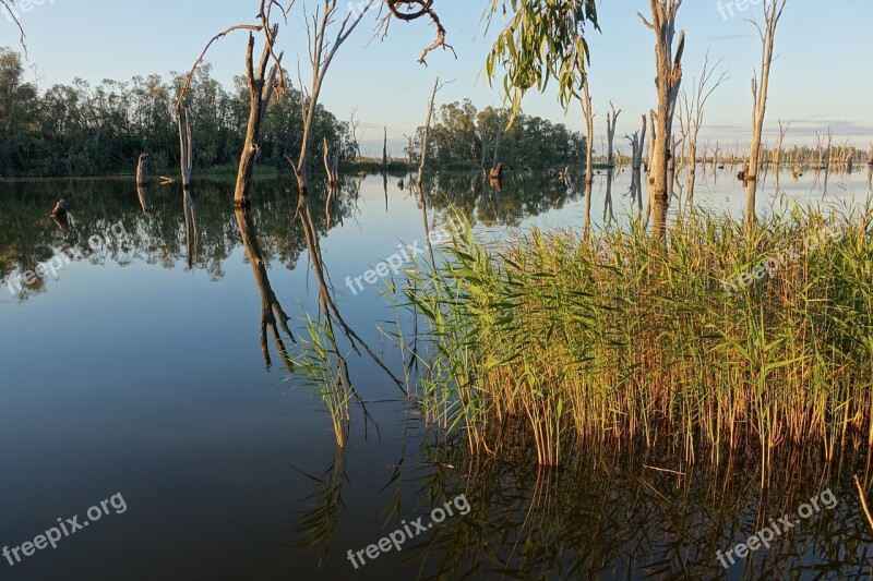 Marshes Swamp Pond Lake Water