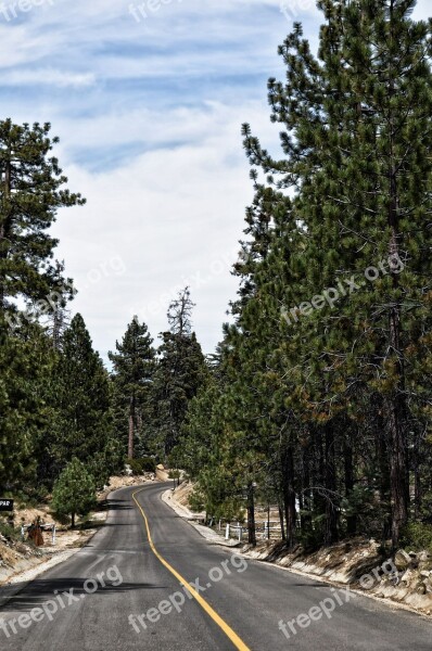 Road Path Forest Travel Mexico