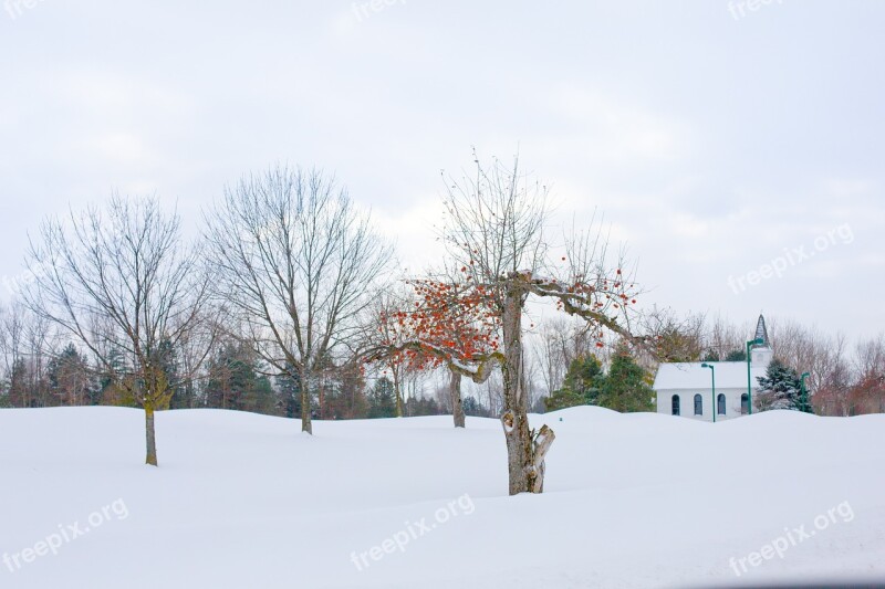 Apple Tree Winter Apple Tree Winter Snow Winter Landscape