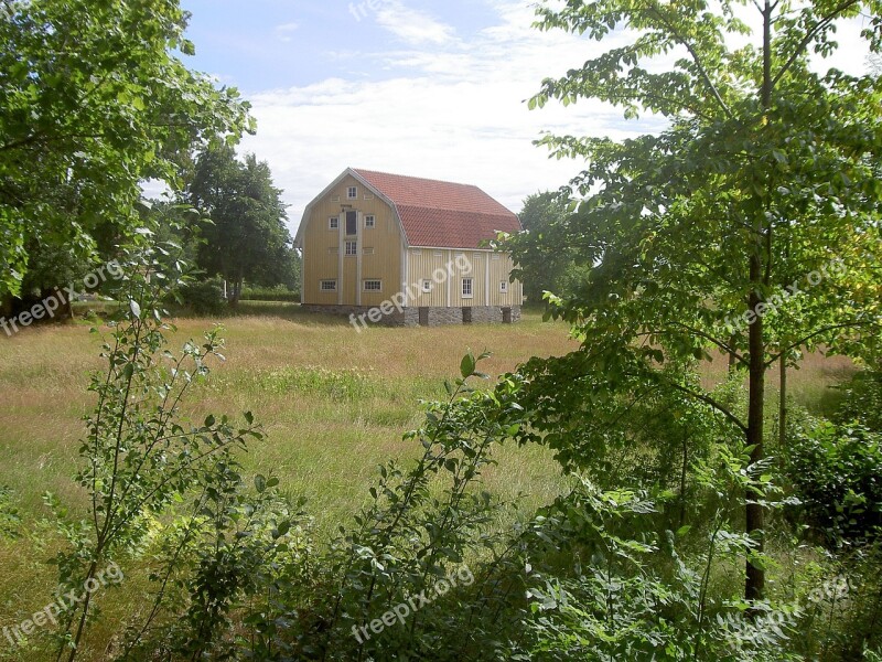 House Path Forest Sweden Shed