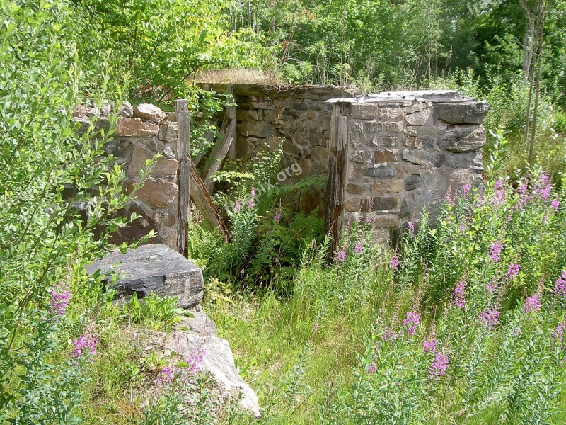 Path Forest Sweden Ruin Shed