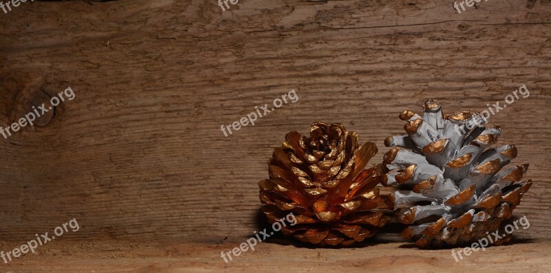 Pine Cones Gold White Wood Background