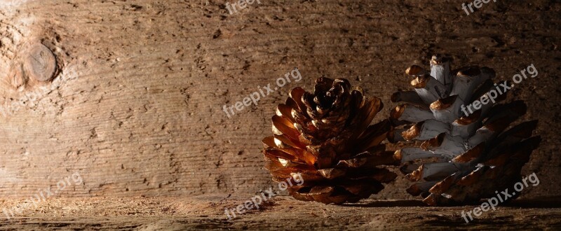 Pine Cones Wood Background Lichtspiel Free Photos