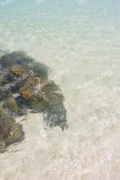 Sea Beach Water Nature Summer