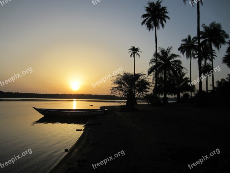 Sunset Guinea Africa Palm Trees Free Photos