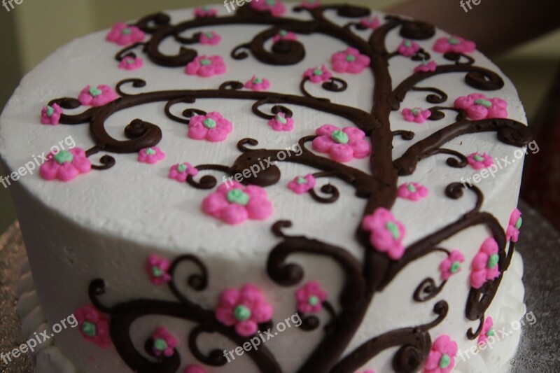 Cake Dessert Icing Birthday Baked