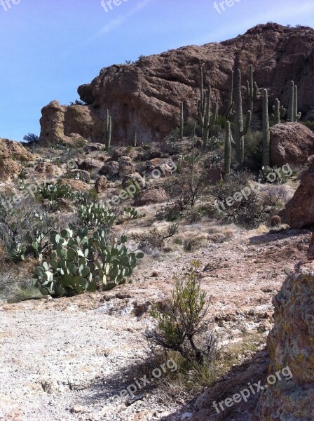 Desert Canyon Landscape Travel Nature